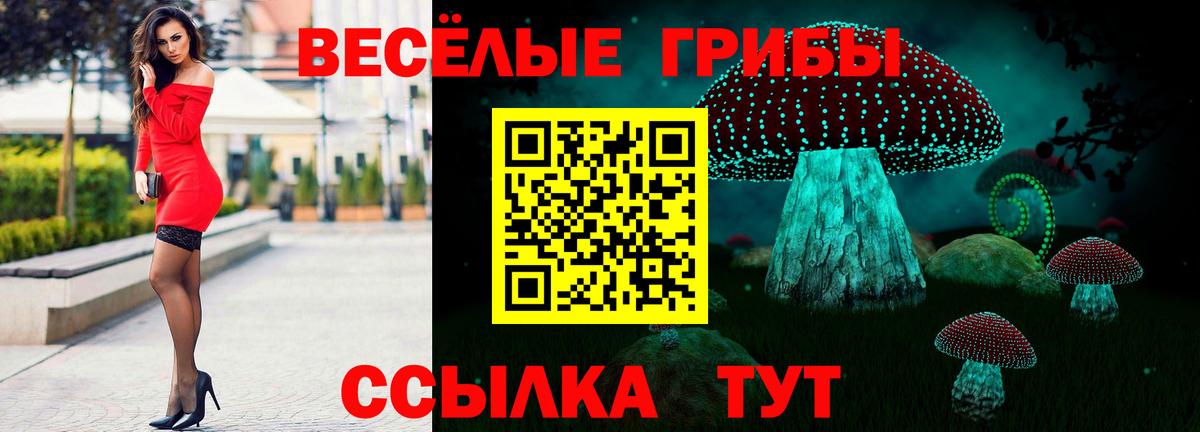 Галлюциногенные грибы Psilocybine cubensis Зеленогорск